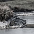 Winter am Rosensteinsee