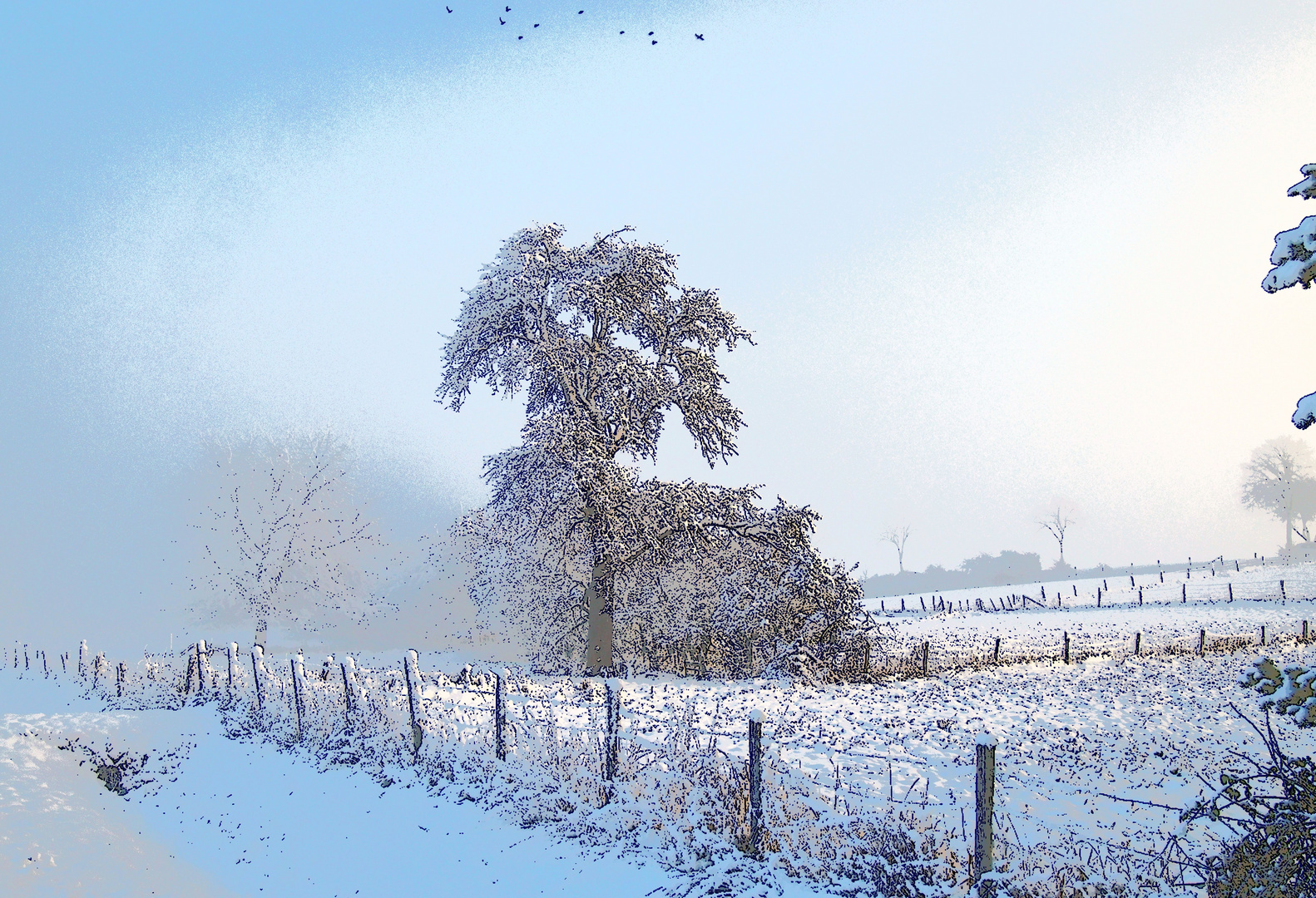 Winter am Rotbach bei Niederberg (Erftstadt)