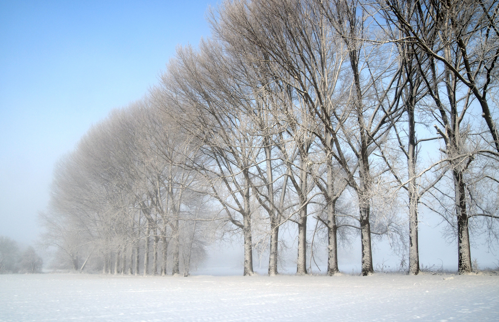 Winter am Rotbach bei Niederberg (Erftstadt)