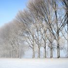 Winter am Rotbach bei Niederberg (Erftstadt)