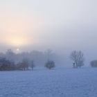 Winter am Rotbach bei Niederberg (Erftstadt)