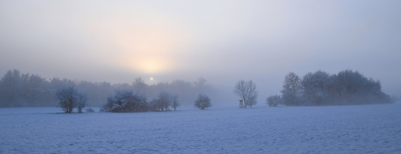 Winter am Rotbach bei Niederberg (Erftstadt)