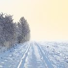 Winter am Rotbach bei Niederberg (Erftstadt)