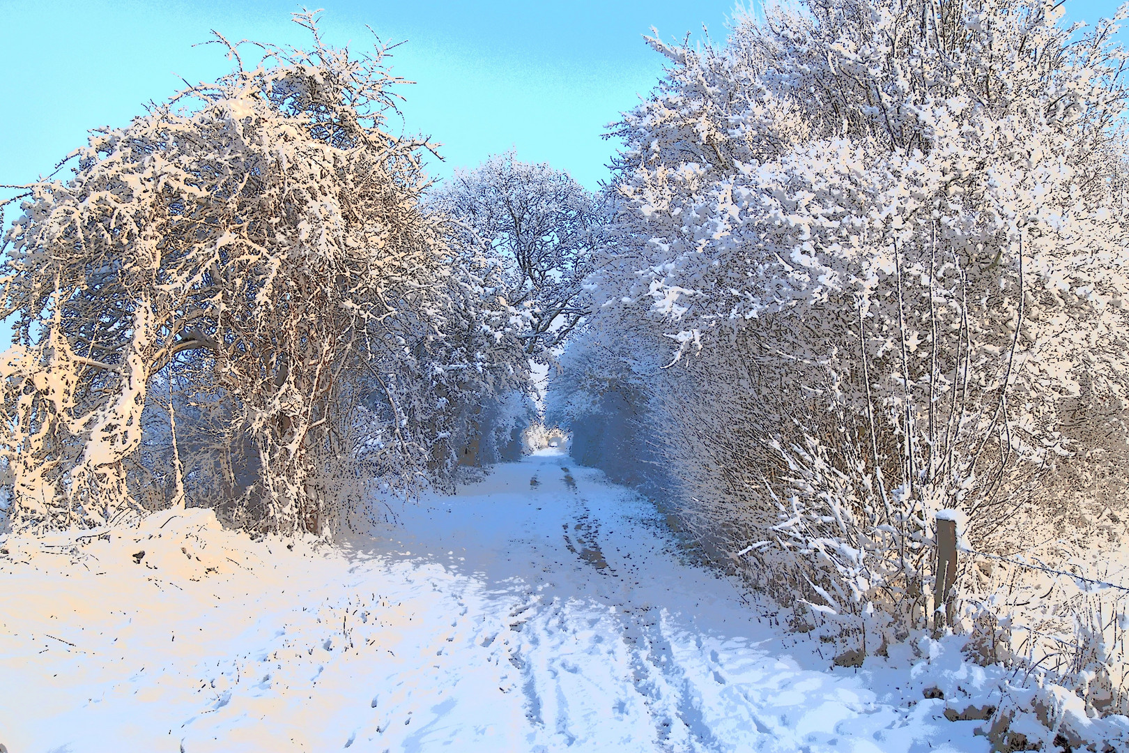 Winter am Rotbach bei Niederberg (Erftstadt)