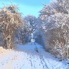 Winter am Rotbach bei Niederberg (Erftstadt)