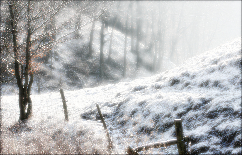 Winter am Roten Ufer