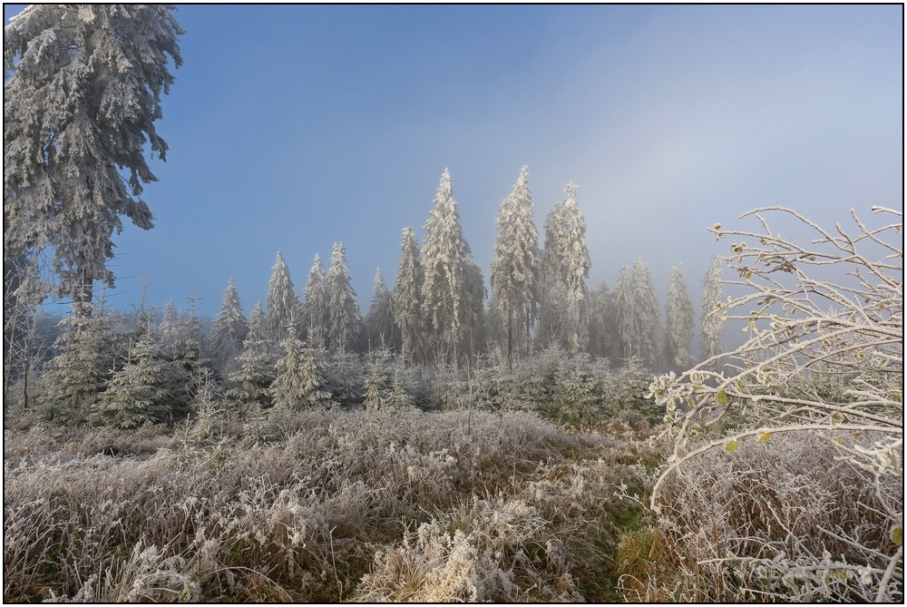 Winter am Rothaarkamm