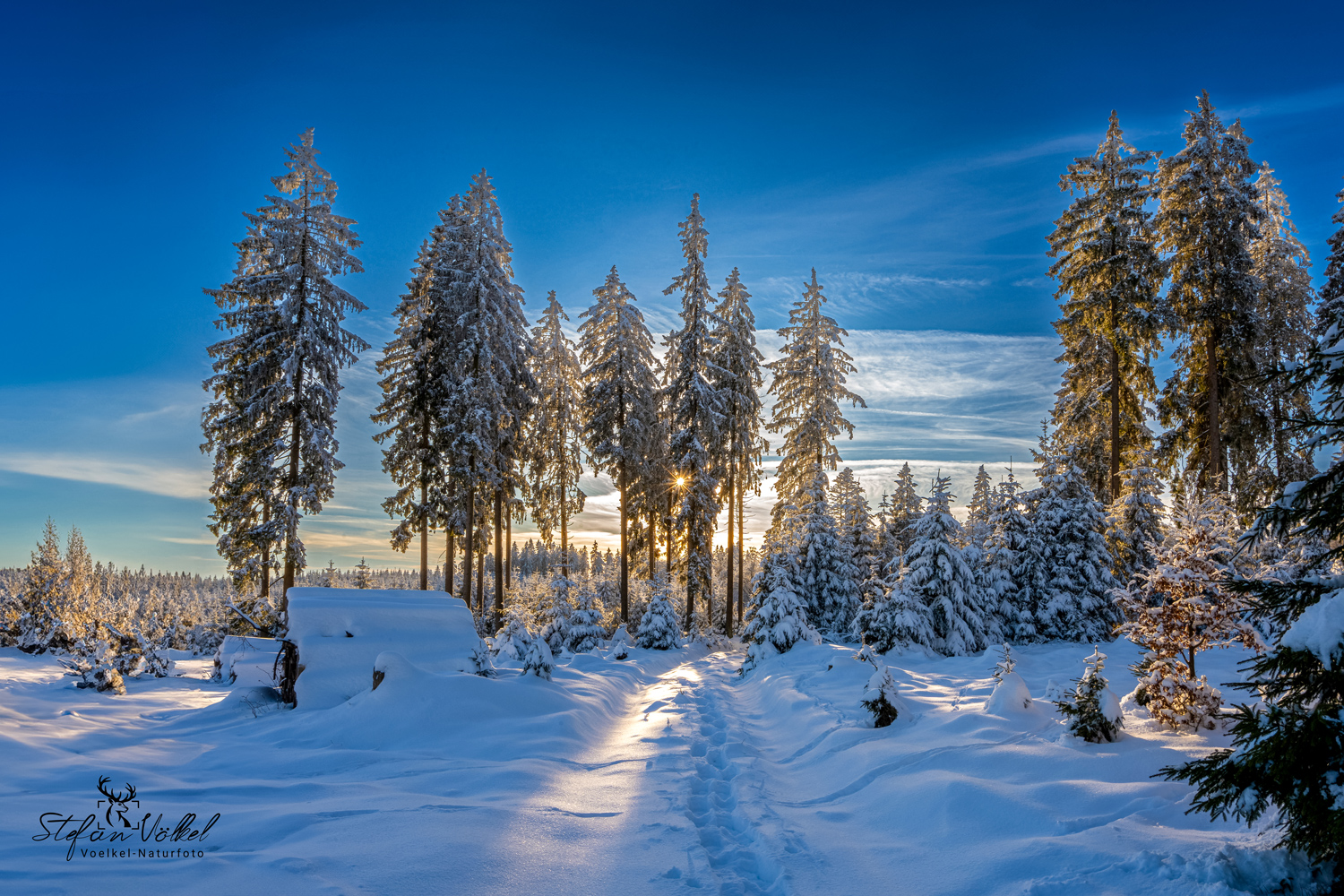 Winter am Rothaarkamm