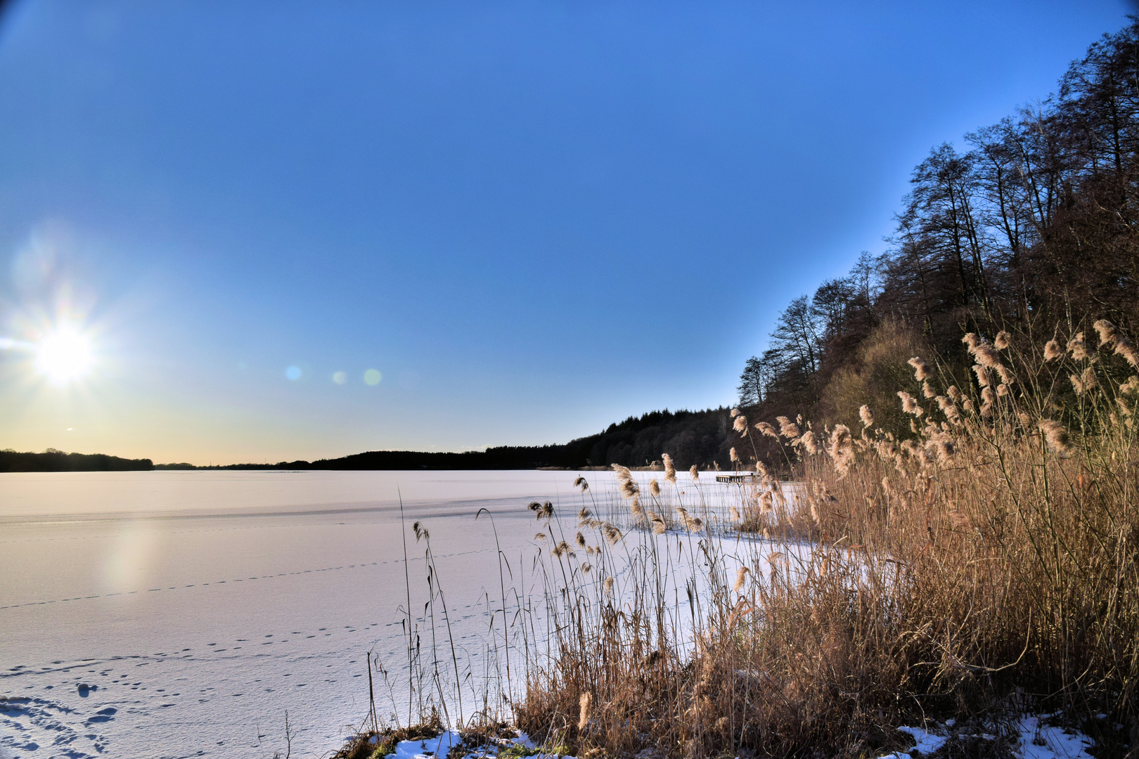 Winter am Rudower See