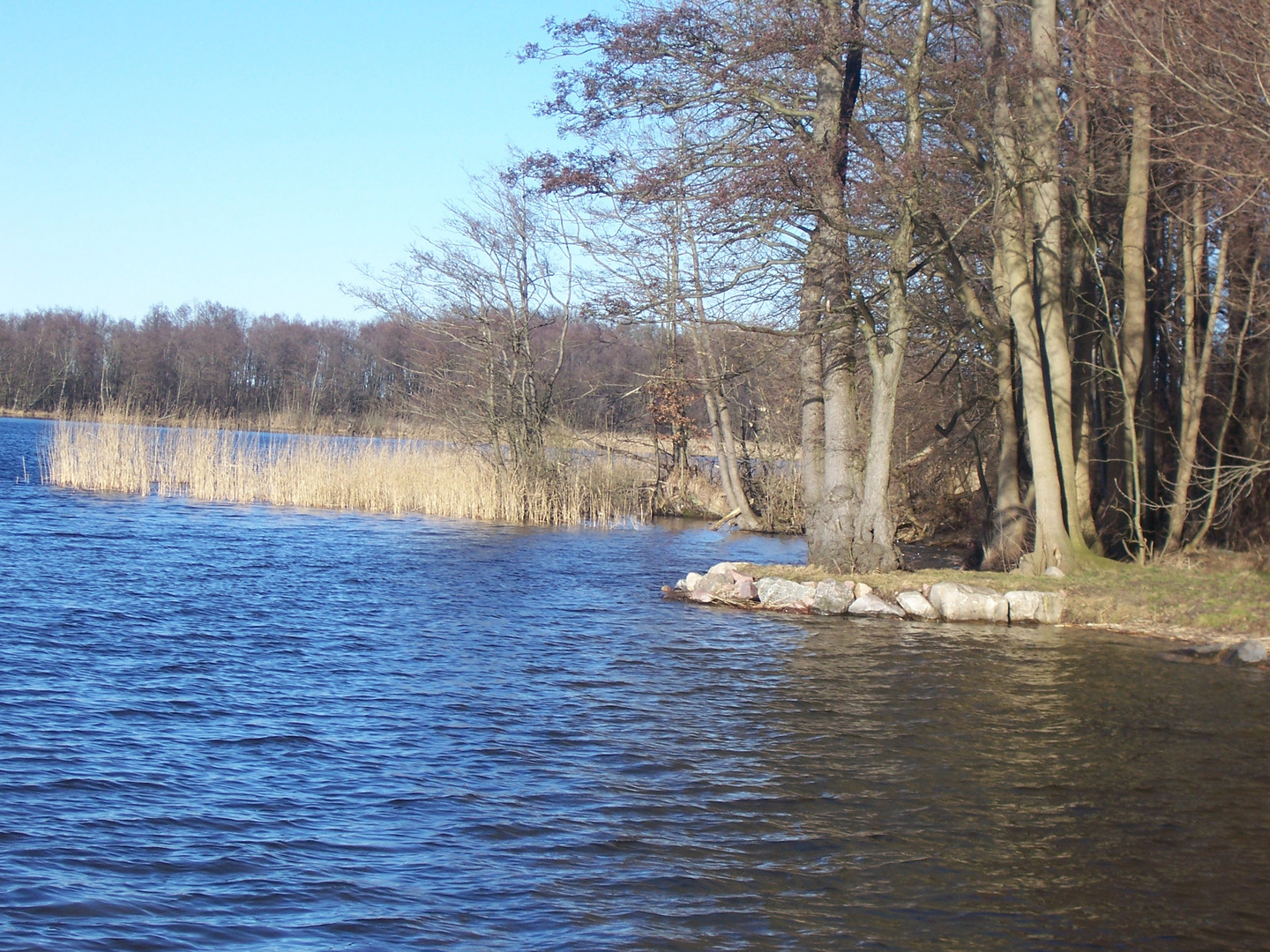 Winter am Ruppiner See