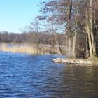 Winter am Ruppiner See