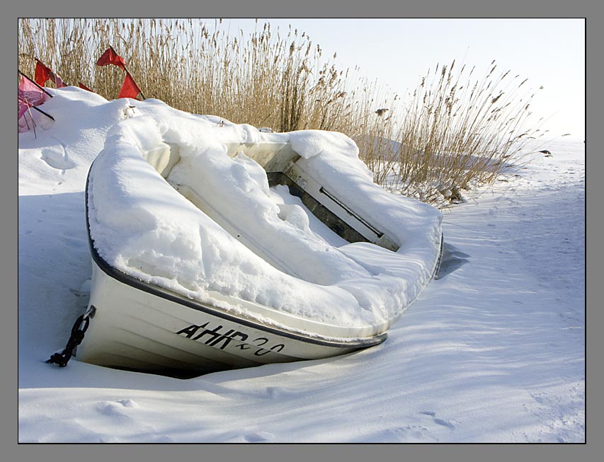 Winter am Saaler Bodden 3/4