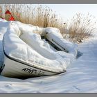 Winter am Saaler Bodden 3/4