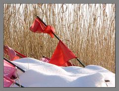 Winter am Saaler Bodden 4/4