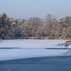 Winter am Saaler See