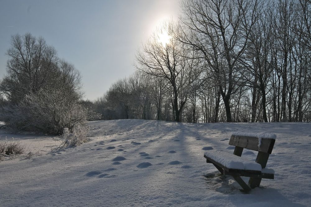 Winter am Sander See