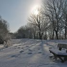 Winter am Sander See