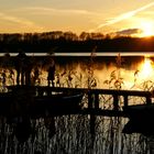 Winter am Schaalsee