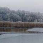 Winter am Schapenbruchteich