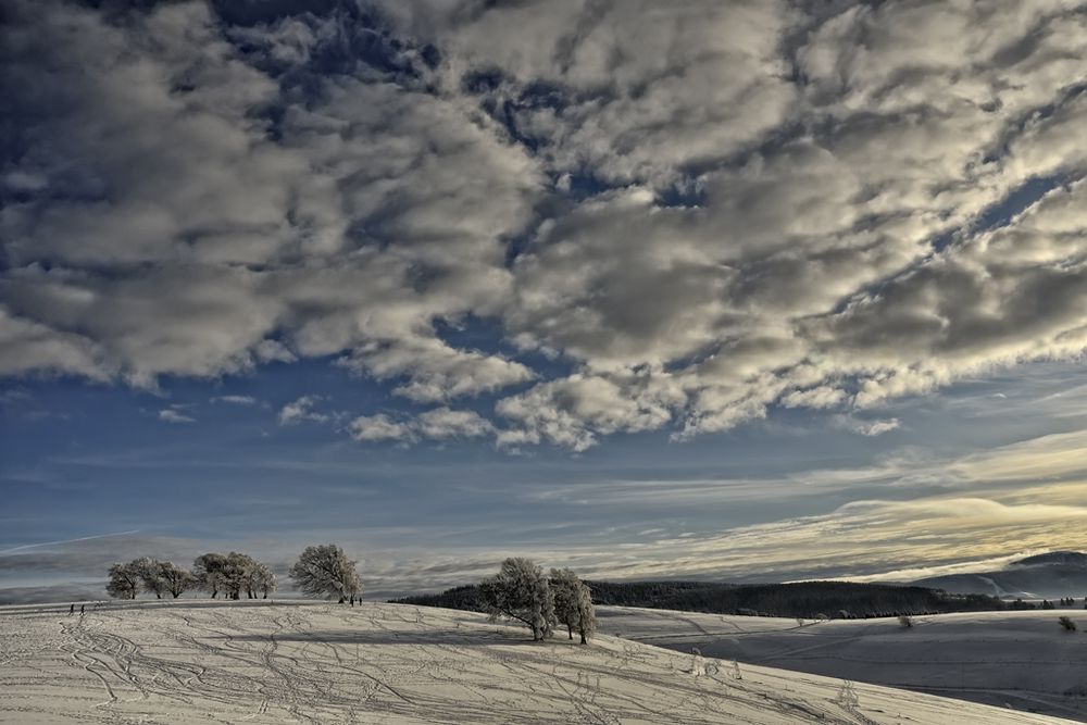 Winter am Schauinsland