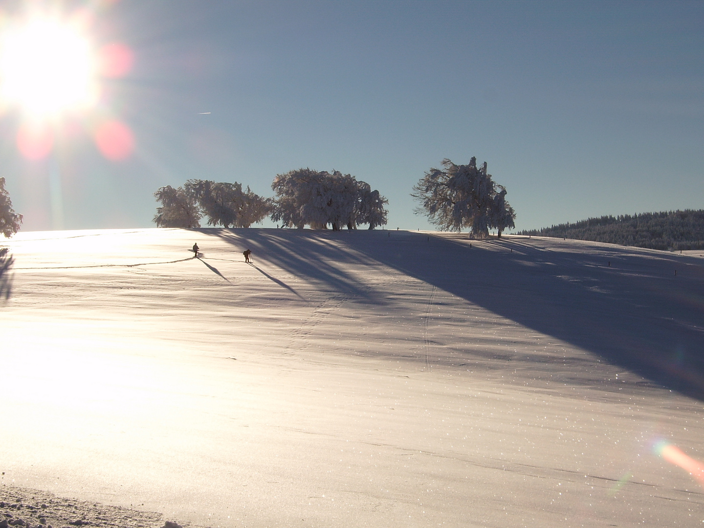 Winter am Schauinsland