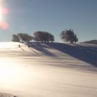 Winter am Schauinsland