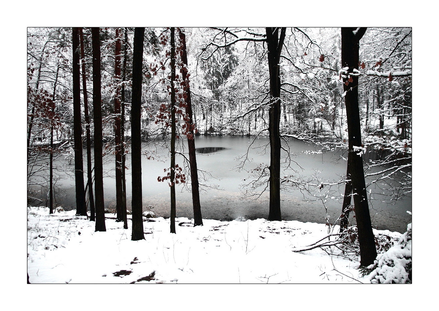 Winter am Schildkrötenteich (1)