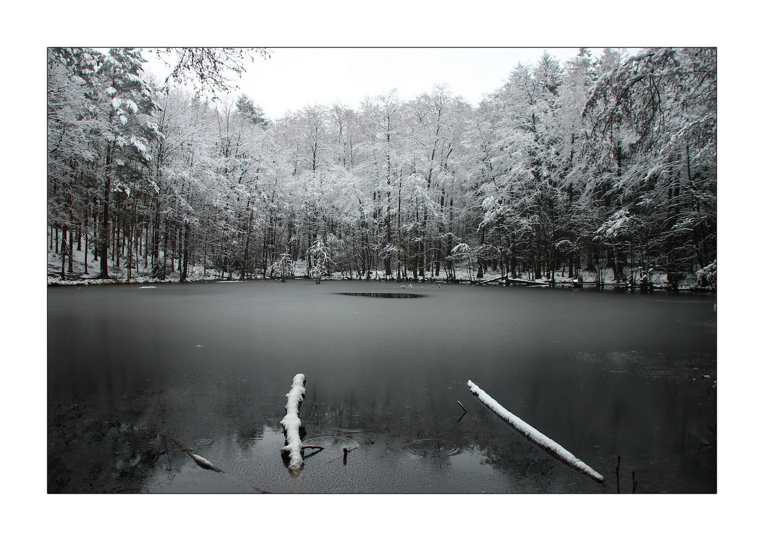 Winter am Schildkrötenteich (2)