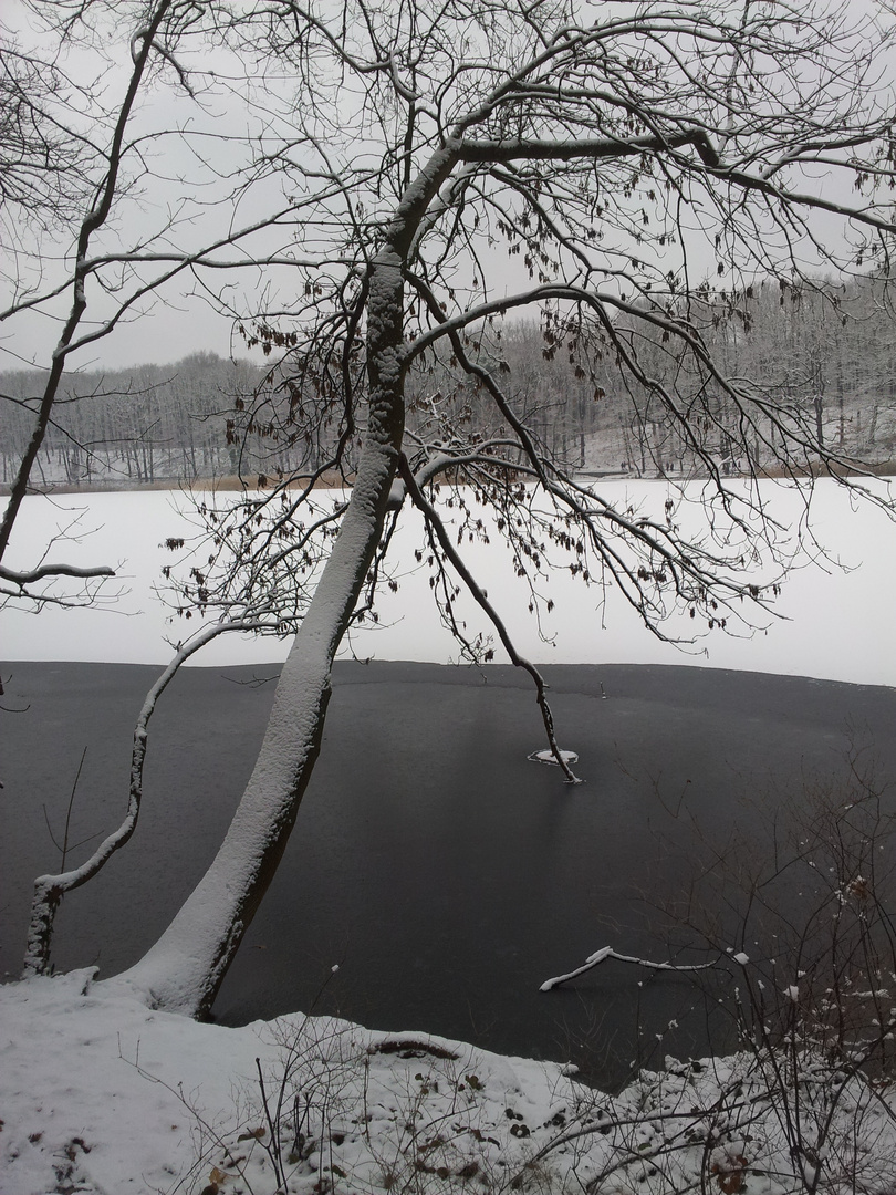 Winter am Schlachtensee