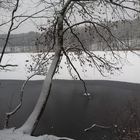 Winter am Schlachtensee