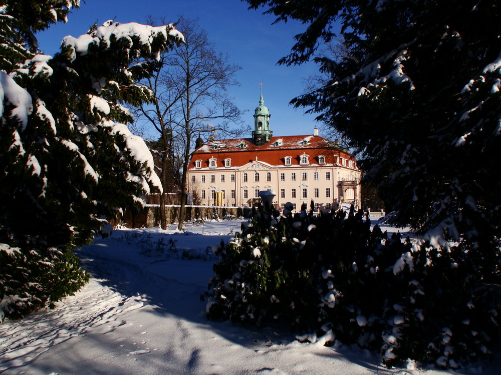 Winter am Schloss Lichtenwalde (2)