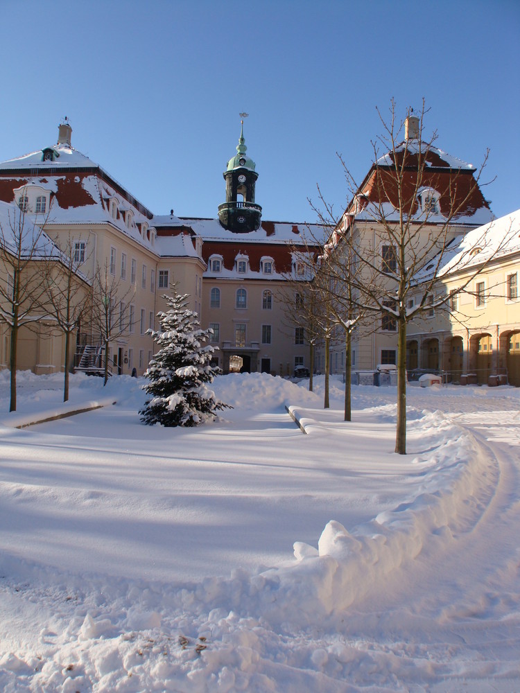 Winter am Schloss Lichtenwalde (3)