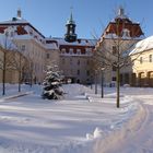 Winter am Schloss Lichtenwalde (3)