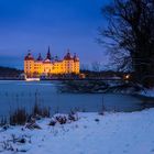 Winter am Schloss Moritzburg