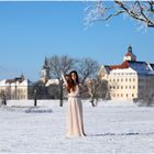 Winter am Schloss Pretzsch