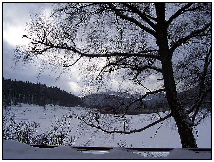 Winter am Schluchsee..