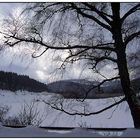 Winter am Schluchsee..