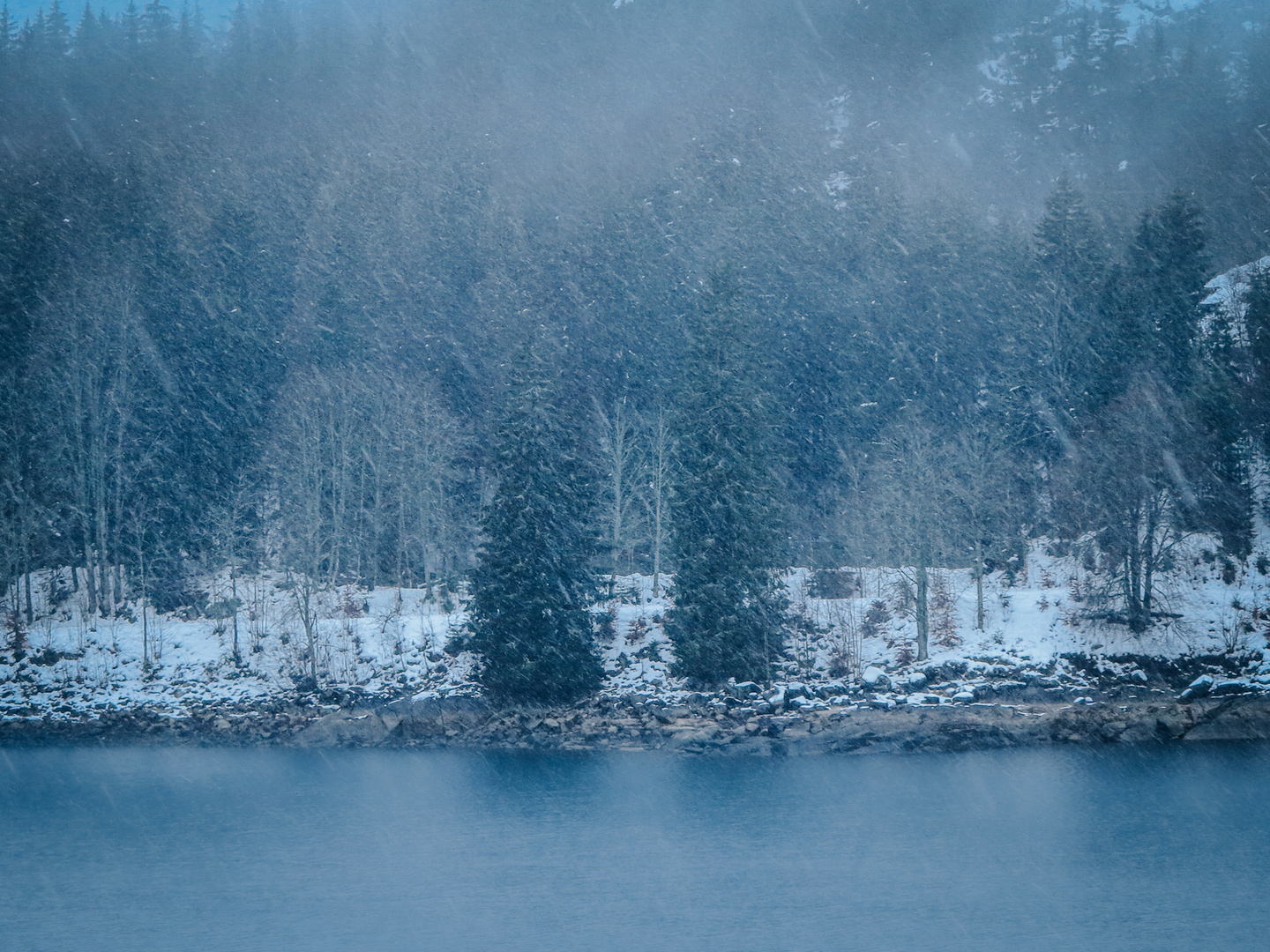 Winter am Schluchsee