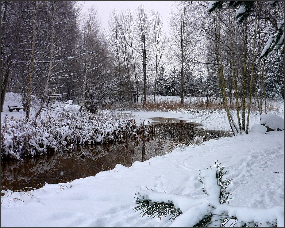 Winter am Schmellwitzer Fliess