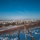 Winter am Schönberg