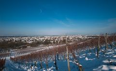 Winter am Schönberg