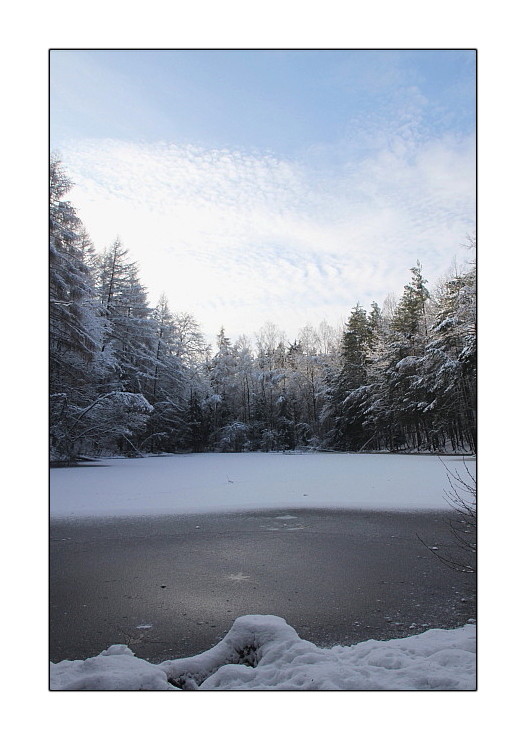 Winter am Schwarzen Teich Foto & Bild landschaft, bach, fluss & see