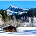 Winter am Schwarzsee I