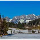 Winter am Schwarzsee III