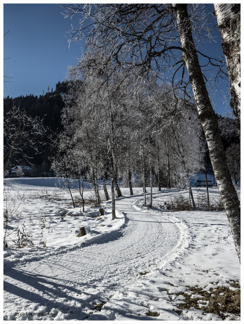 Winter am Schwarzsee IV