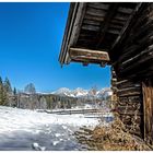 Winter am Schwarzsee V