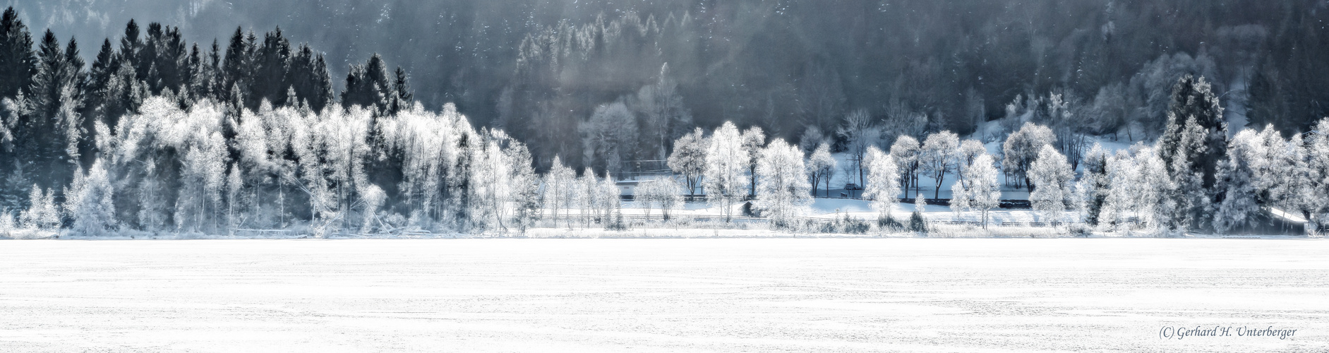 Winter am Schwarzsee VII