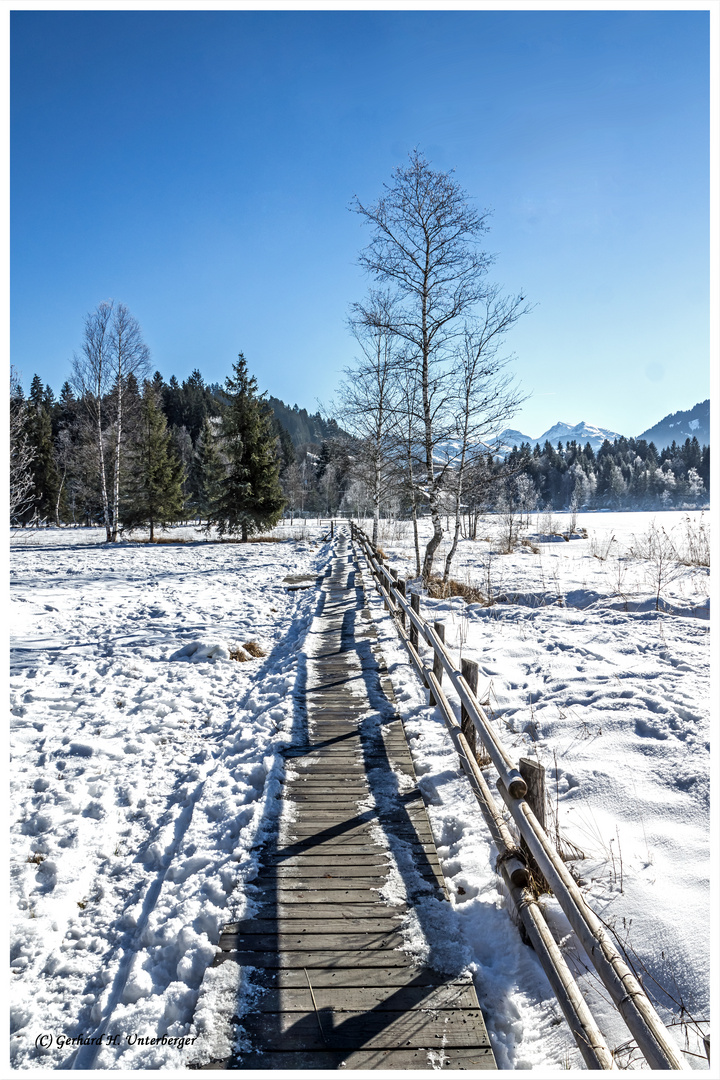 Winter am Schwarzsee VIII