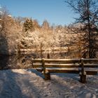 Winter am See _01