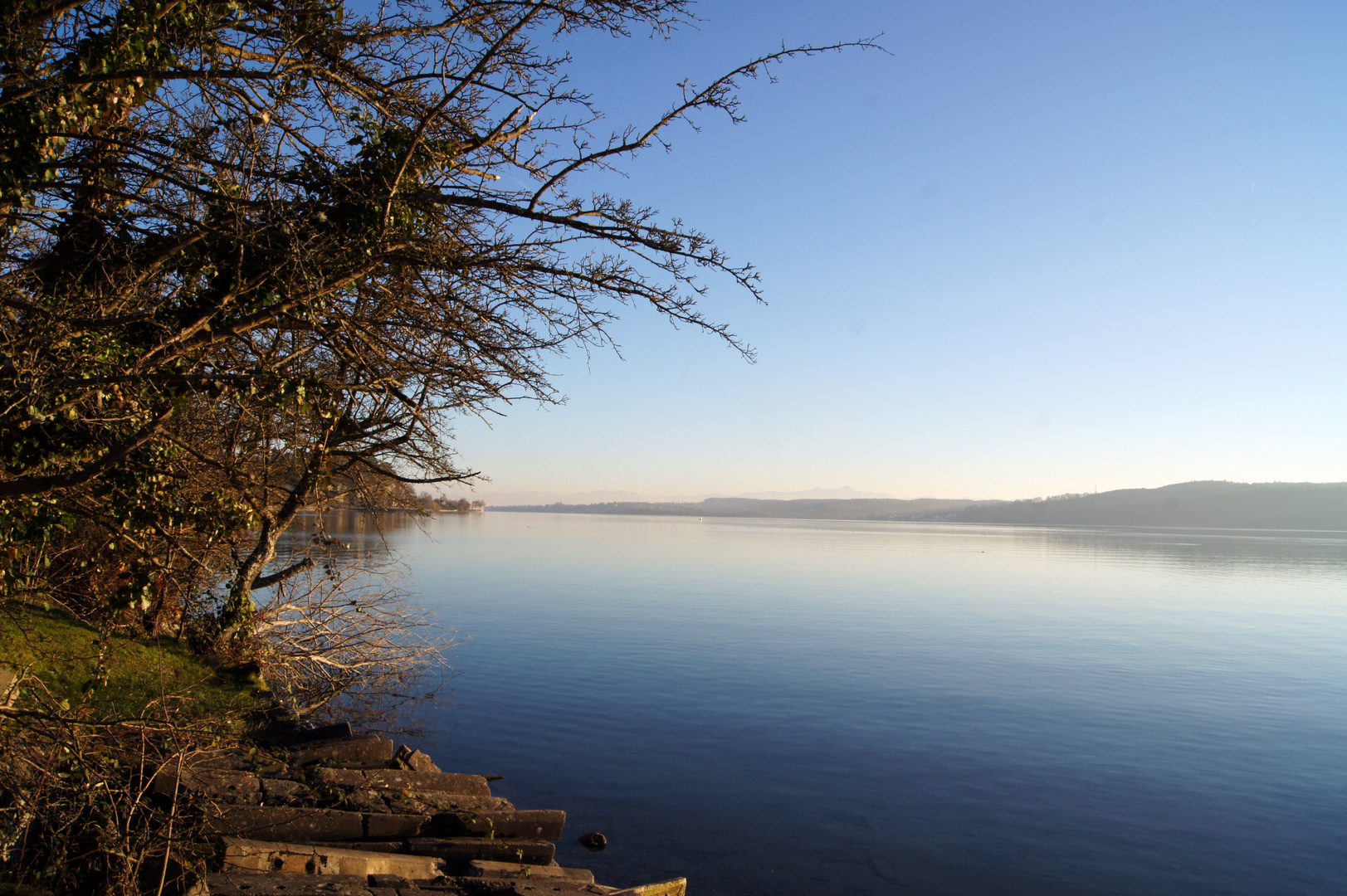 Winter am See 08.12.2013